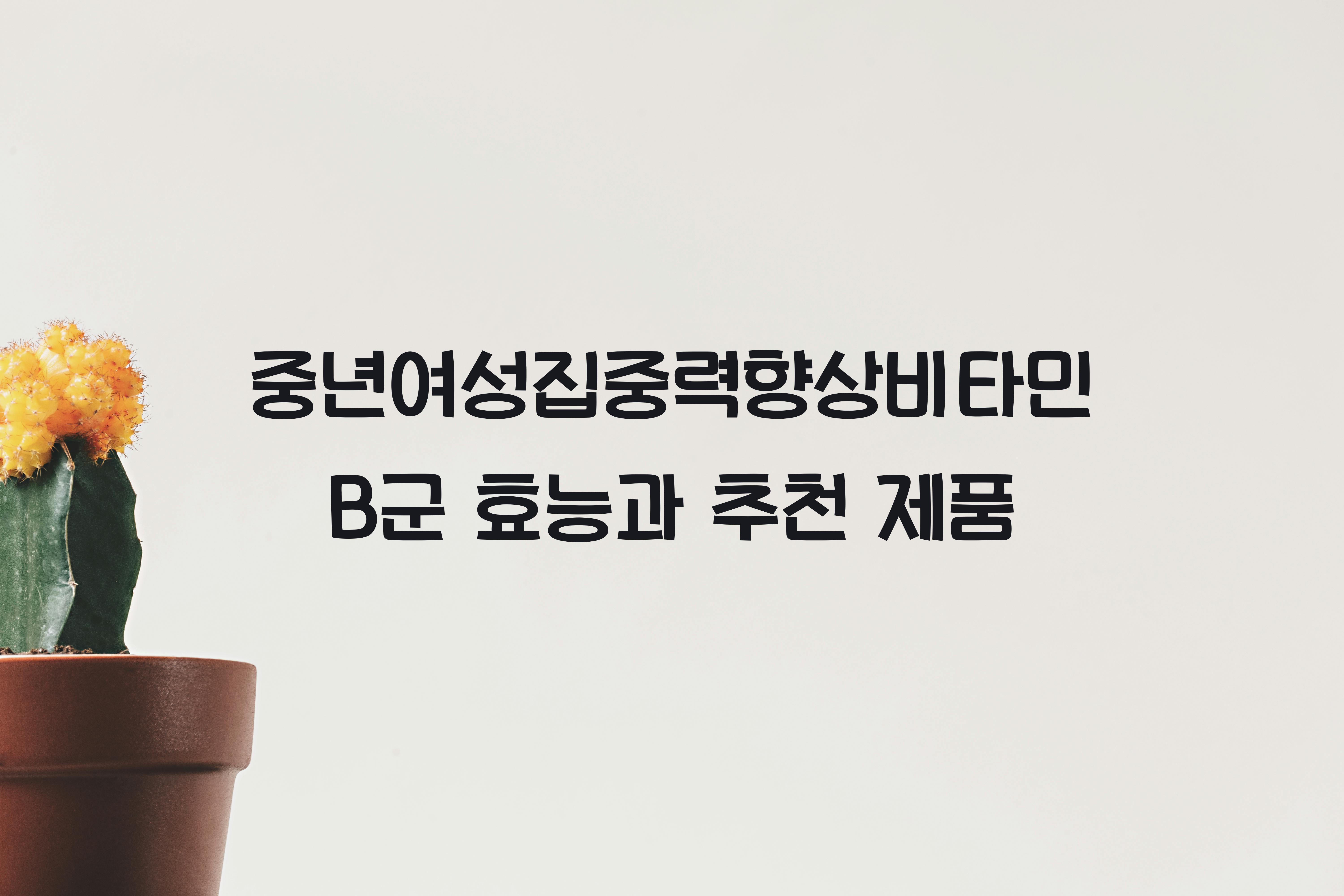 중년여성집중력향상비타민B군