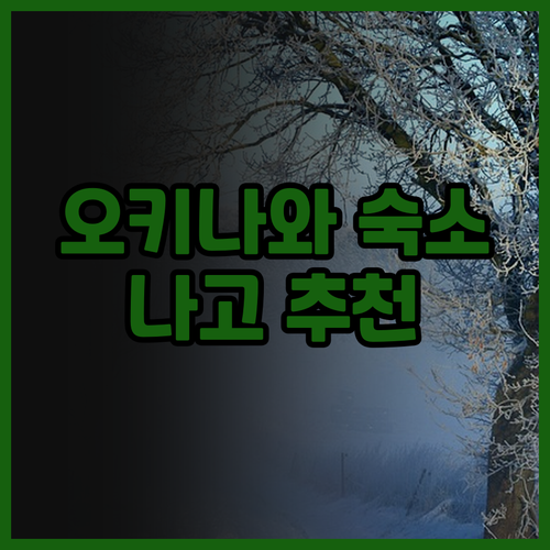 오키나와 나고 숙소 고민 끝! 게스트