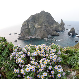 울릉도 관광 여행지 8