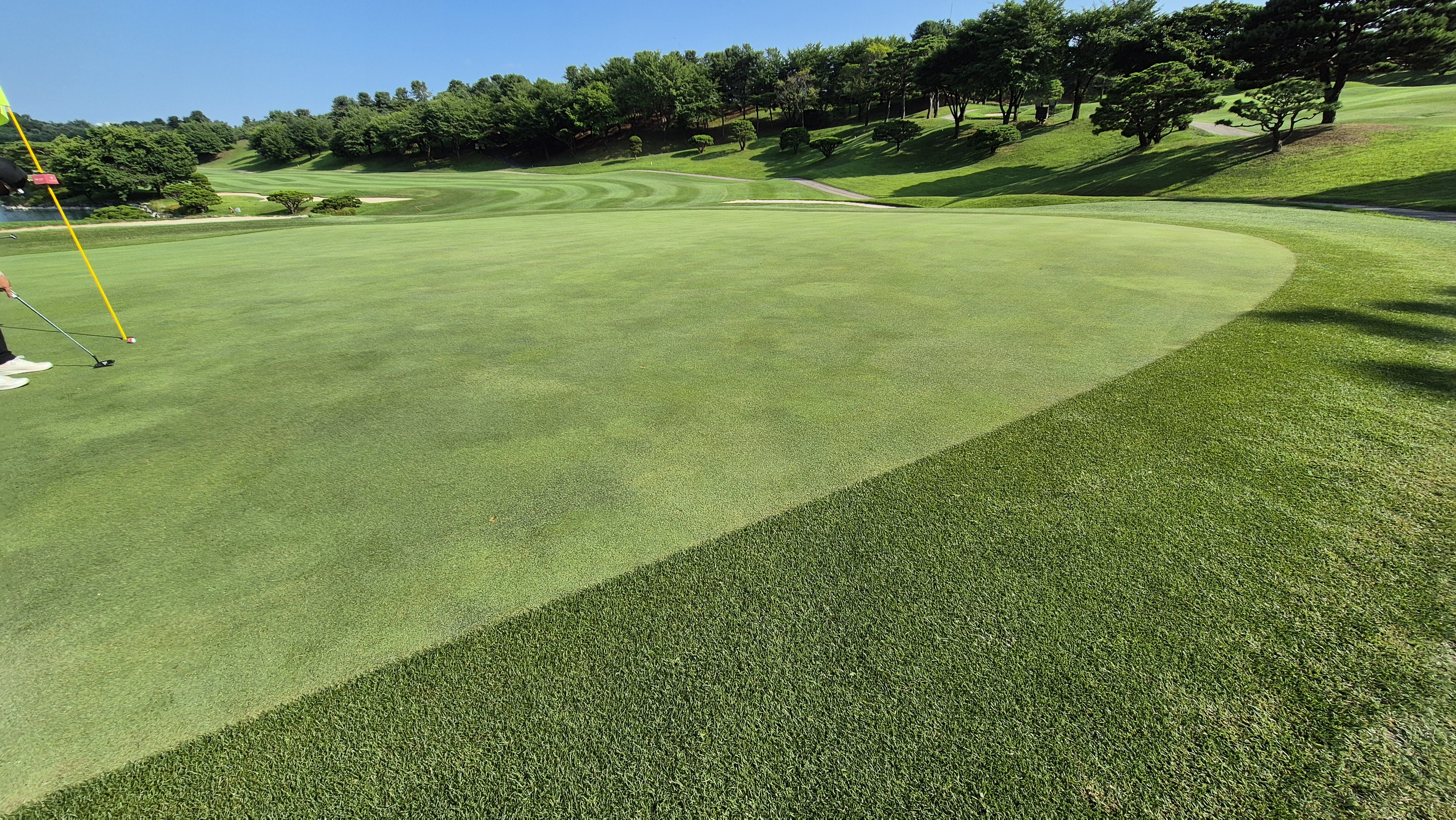 태광cc 북-서 코스 라운드 후기