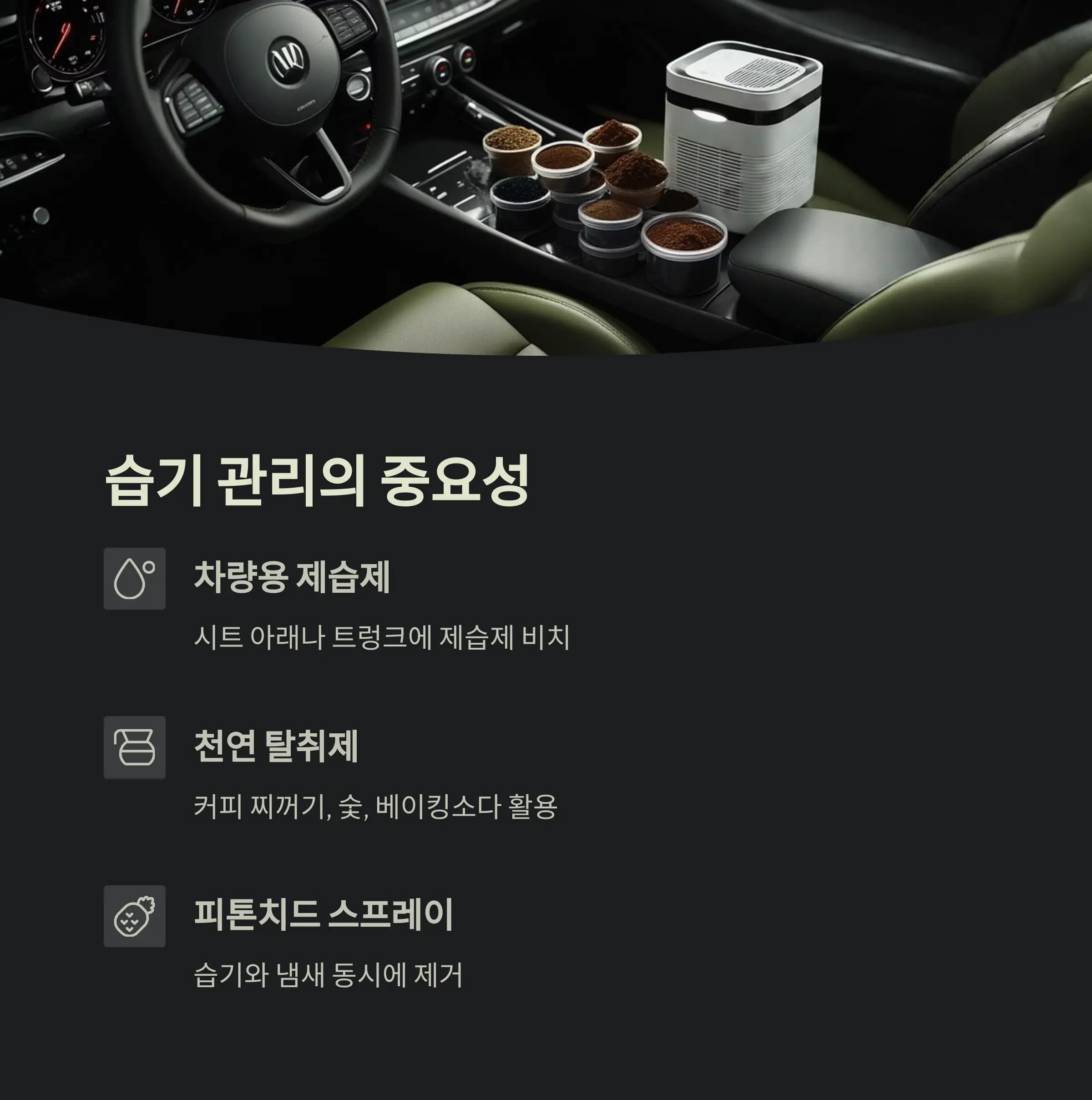 차량 진드기 제거 정보