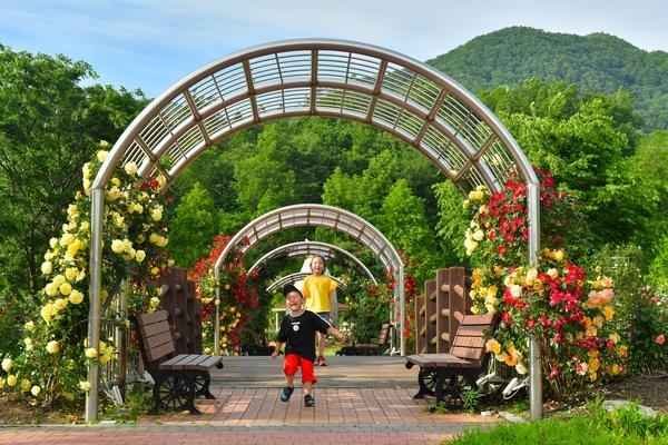 장성 평림댐 장미공원