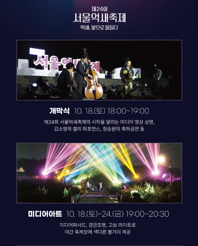 서울억새축제 2025 가이드