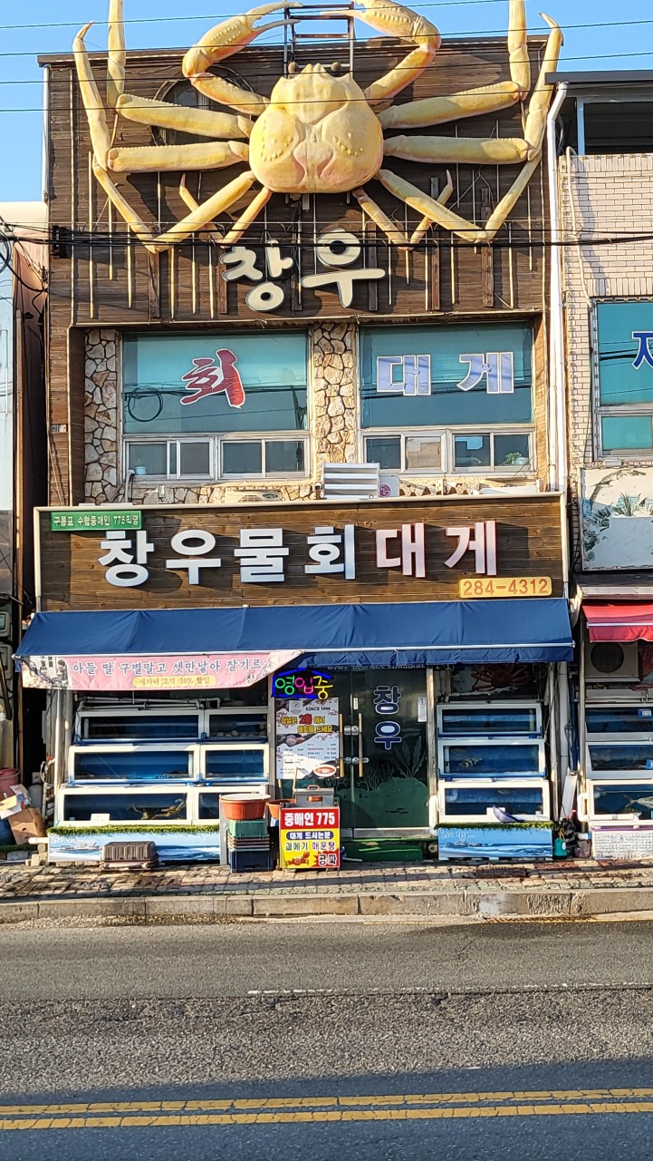 포항 구룡포 맛집 창우물회대게