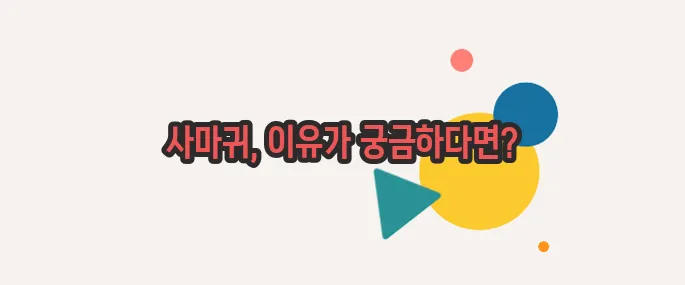 사마귀 원인  이제 베일을 벗겨볼까요
