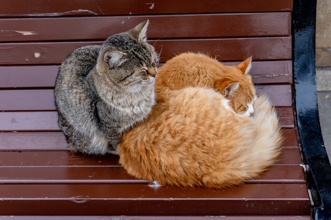Joint ownership.