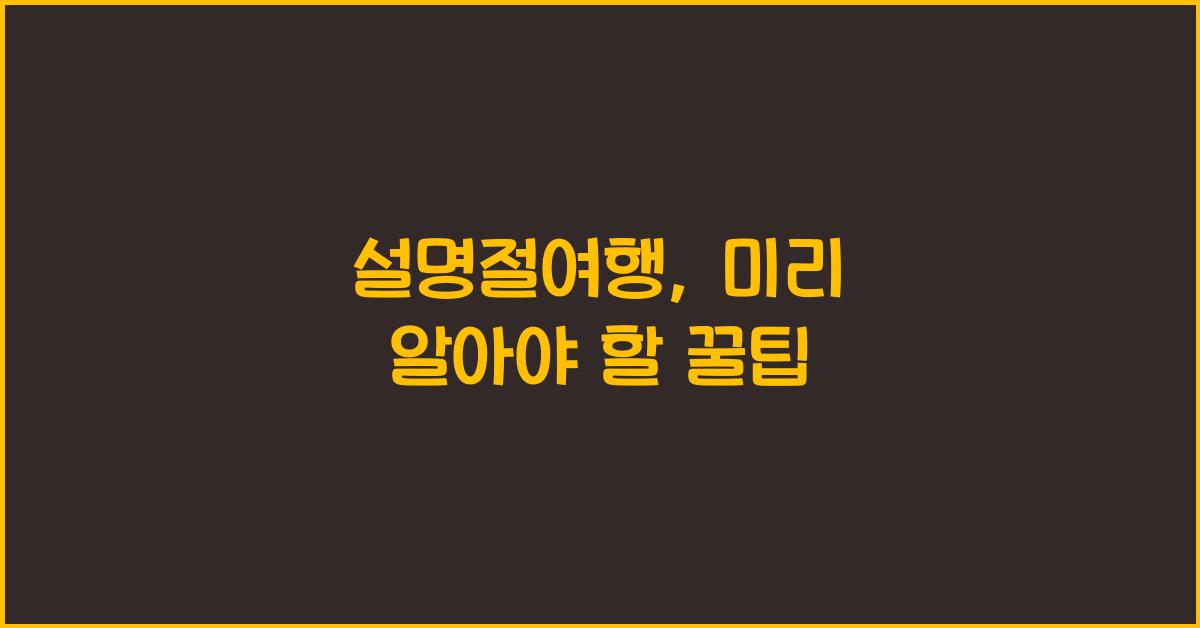 설명절여행