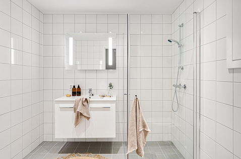 화장실 곰팡이 제거, 전문가처럼 쉽게 하는 법