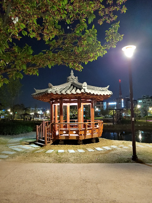 밤의-피크닉-밤의-산책-@신천공원