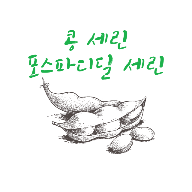 포스파티딜세린 콩