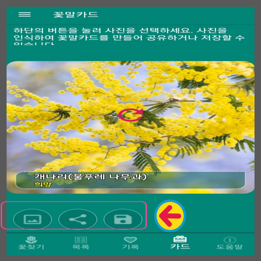 꽃이름 찾기 앱