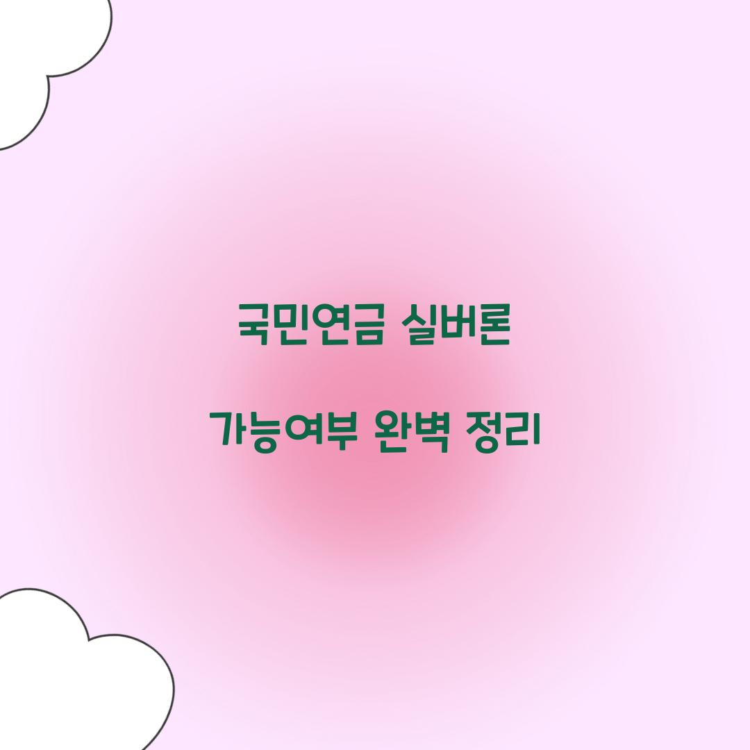 국민연금 실버론 가능여부