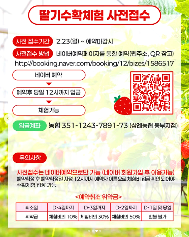 삼례 딸기대축제