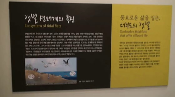 갯벌 생태계와 대부도 갯벌을 소개하는 전시
