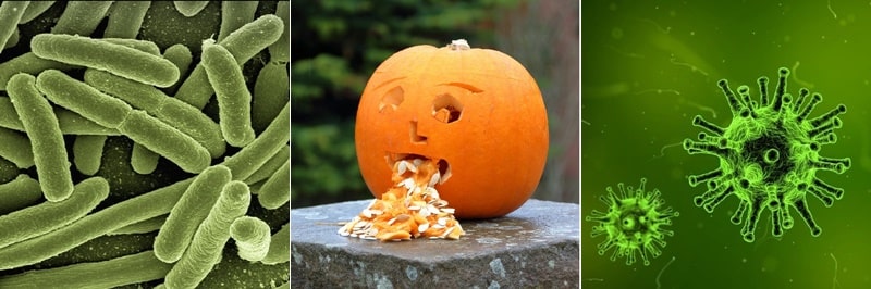 식중독 증상과 치료