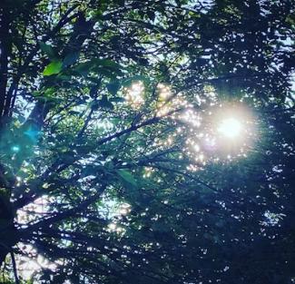 백내장 초기증상 발병원인 관리 방법