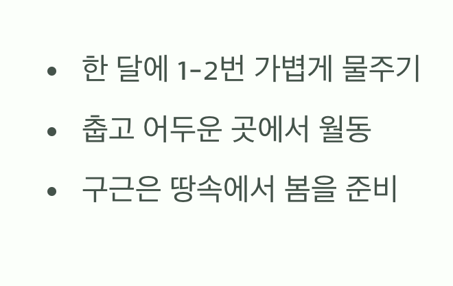 겨울&amp;#44; 기다림의 시간
