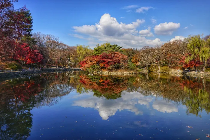 서울 단풍 명소 추천 5곳 : 고궁부터 숲길까지 도심 속 가을 산책길