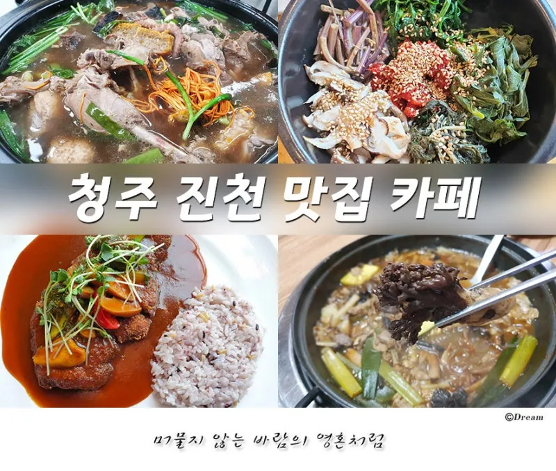 진천 맛집 베스트 10 추천으로 안내_1