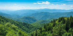 50대 부모님과 가기 좋은 산 (효도산행, 봄산행, 맛집)