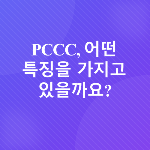 해외직구 개인통관고유번호_2