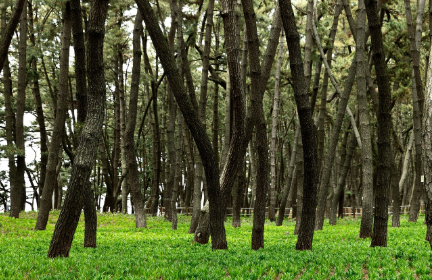 충남 서천 초여름 여행 핵심 코스