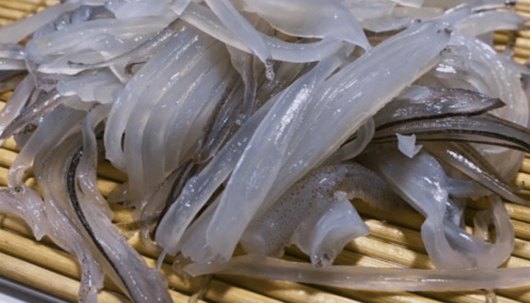 잘게-잘려진-오징어회