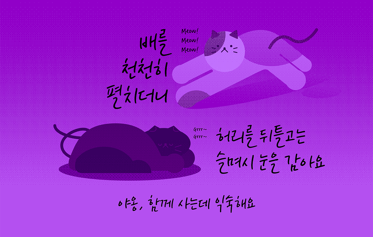 폰코 폰트 공캘리그라피 김상희