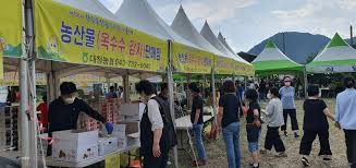 제14회 향수옥천 옥수수 감자 축제 기본일정과 프로그램 정리