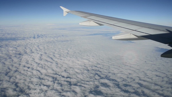 트래블 버블 뜻