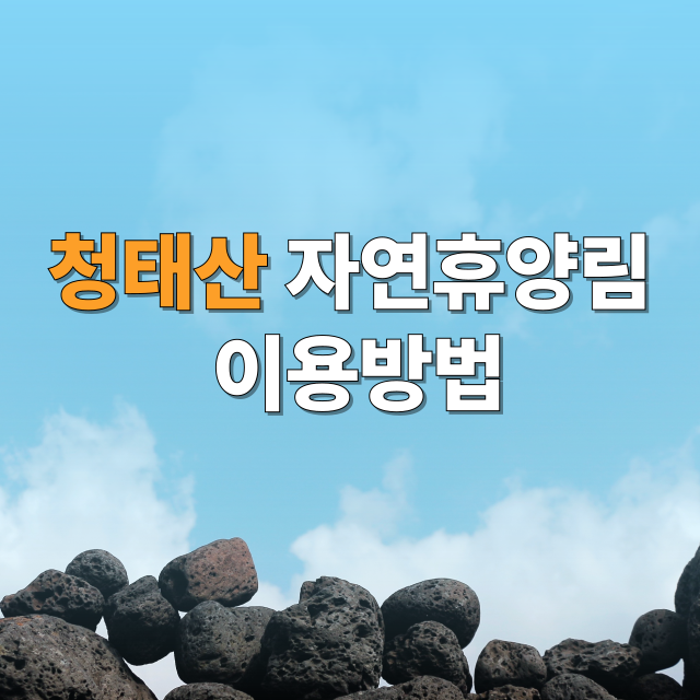 청태산자연휴양림 소개 및 예약 방법