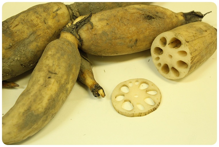 연근의 혈액 정화 효능, 추가 건강 효능