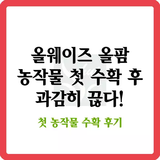 올웨이즈 올팜
