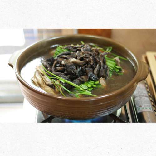 8월 제철버섯 송이버섯 고급 요리 재료