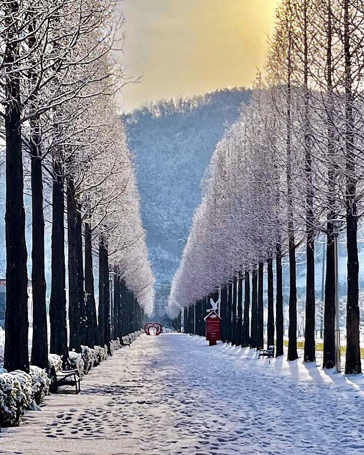 토요일은 밥이좋아 예산 윤봉길기념관 메타세콰이어길 오픈 샌드위치 맛집 그릭요거트 생과일 콘치즈 소시지 잠봉뵈르 예산10미 현지인 추천 토밥 좋아 방송정보