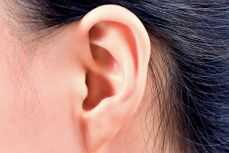 귀 혈자리 위치 지압법