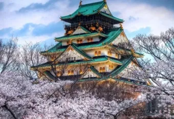 일본여행에서 구매한 빵 과자 기내반입 가능할까 기내반입금지 규정 완벽 안내_21