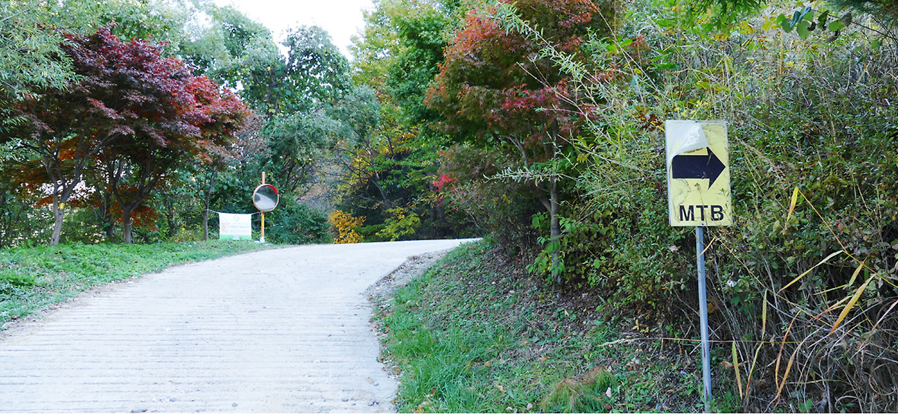2025 증평인삼골축제&amp;#44;인삼 체험 축제