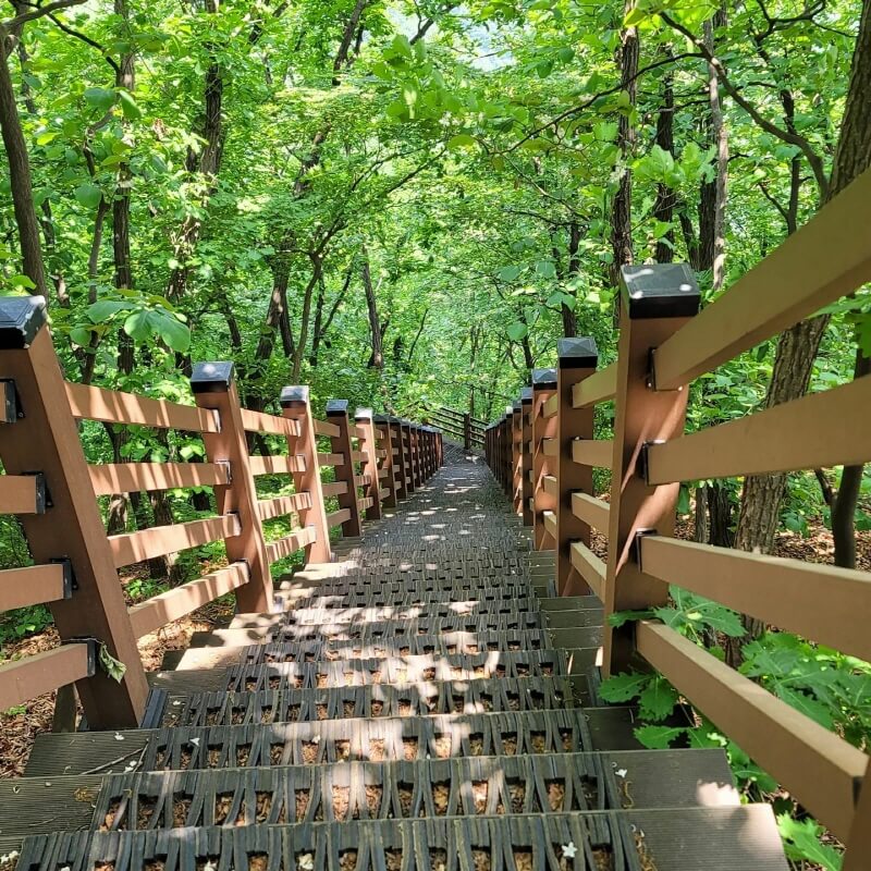 하산길 계단
