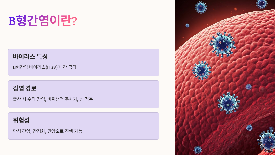 B형간염이란? 감염 경로와 위험성