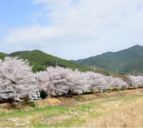 대구 달성