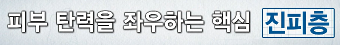 콜라겐