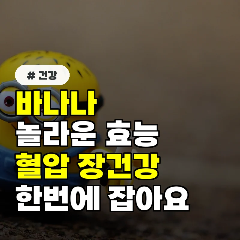 바나나의 놀라운 효능 7가지 혈압과 장건강을 한번에!