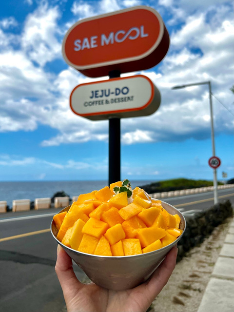 제주 애월 카페 이동건 오아시스80 바다뷰