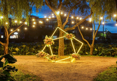 부여-궁남지-연꽃축제