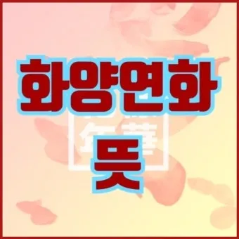 화양연화 의미 해석 한자 뜻 문화적 배경 정리_4