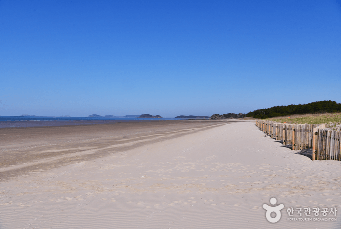 기지포해수욕장 (태안군)