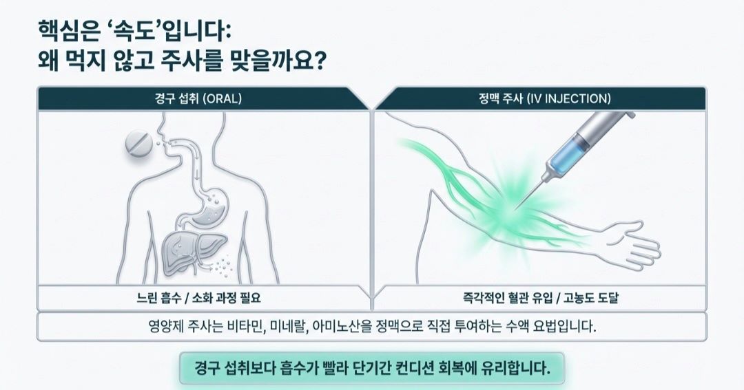 영양제주사-사진10