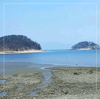 alt="비안도의 청정 갯벌과 섬 전경"