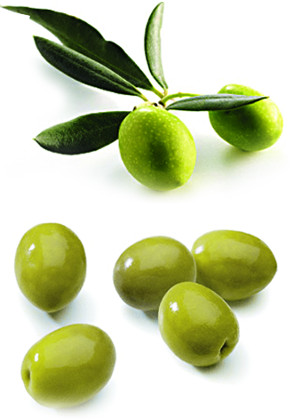 올리브 효능 및 부작용